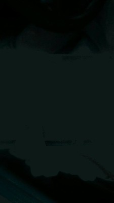 11349081_371165039749262_128851635_n.jpg